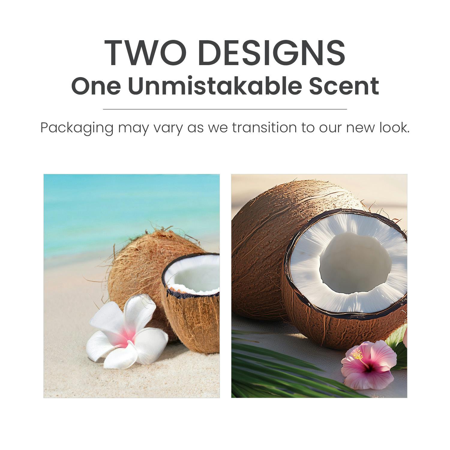 Coconut Beach